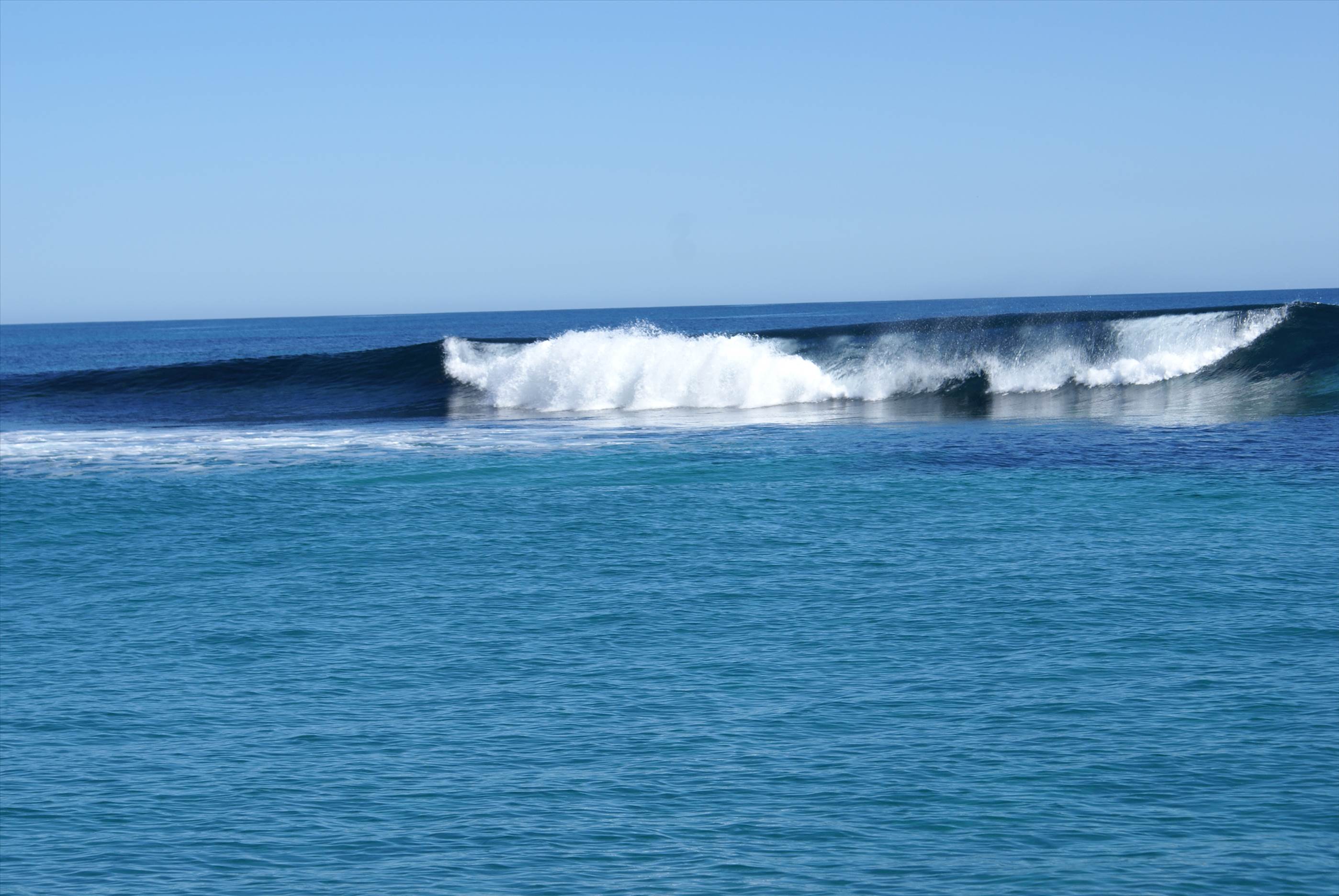 seal island