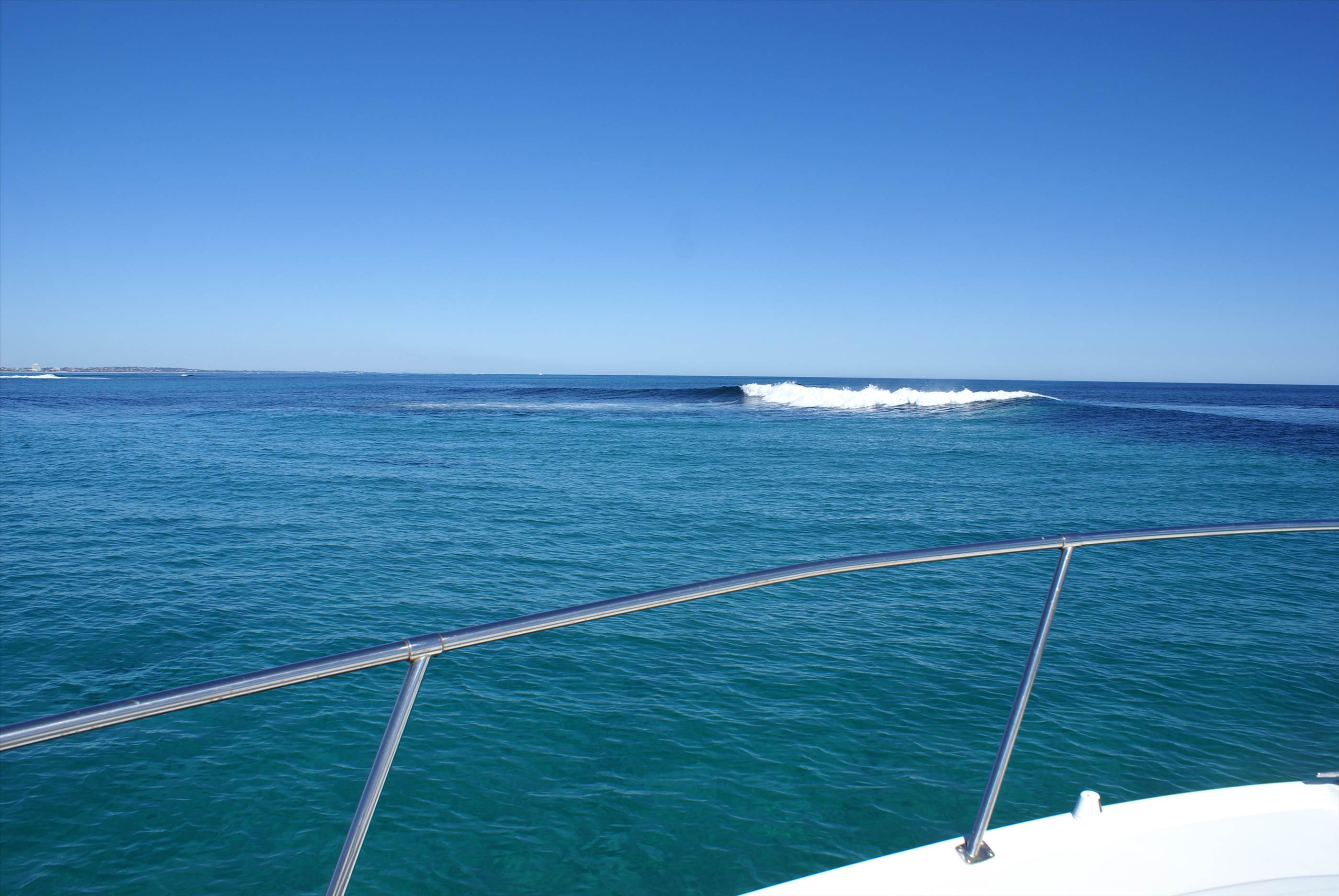 seal island