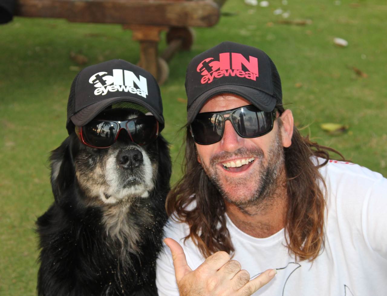 Dog Sinners