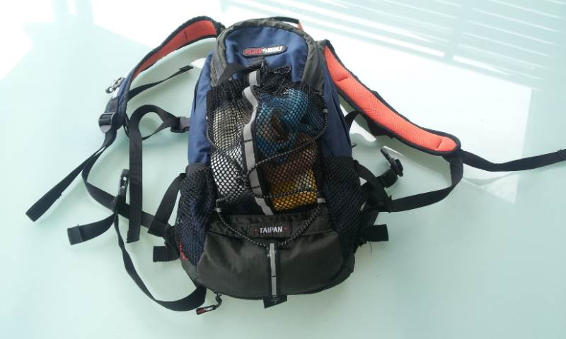 DW Backpack