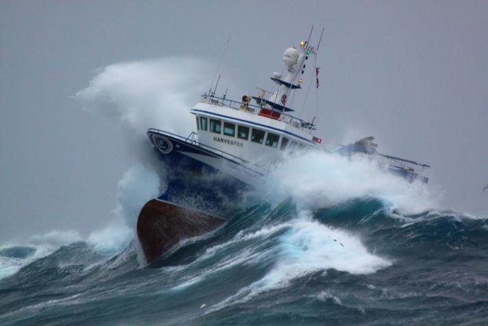 Downwinders Support Boat 1
