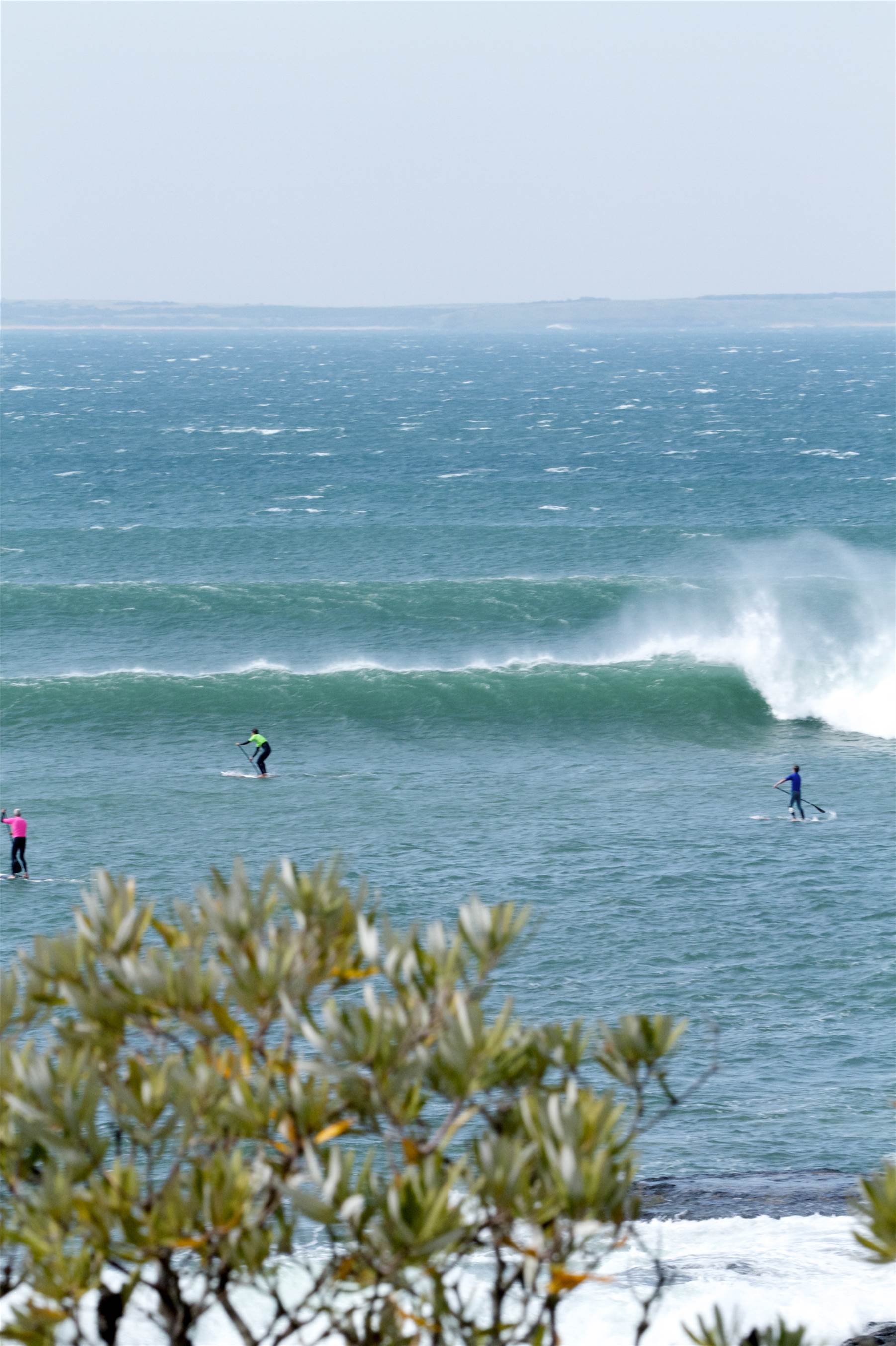 Point Leo comp