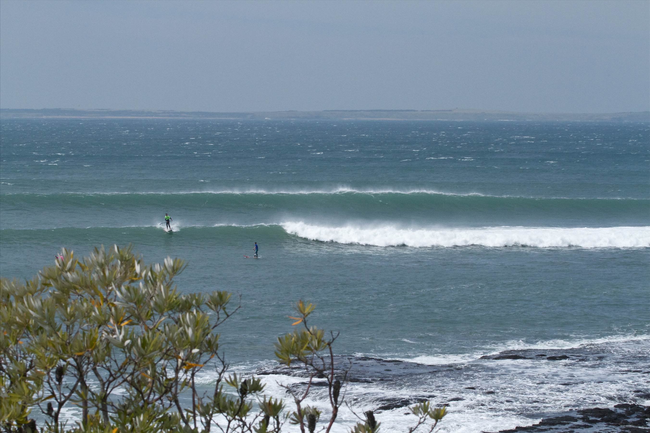 Point Leo comp