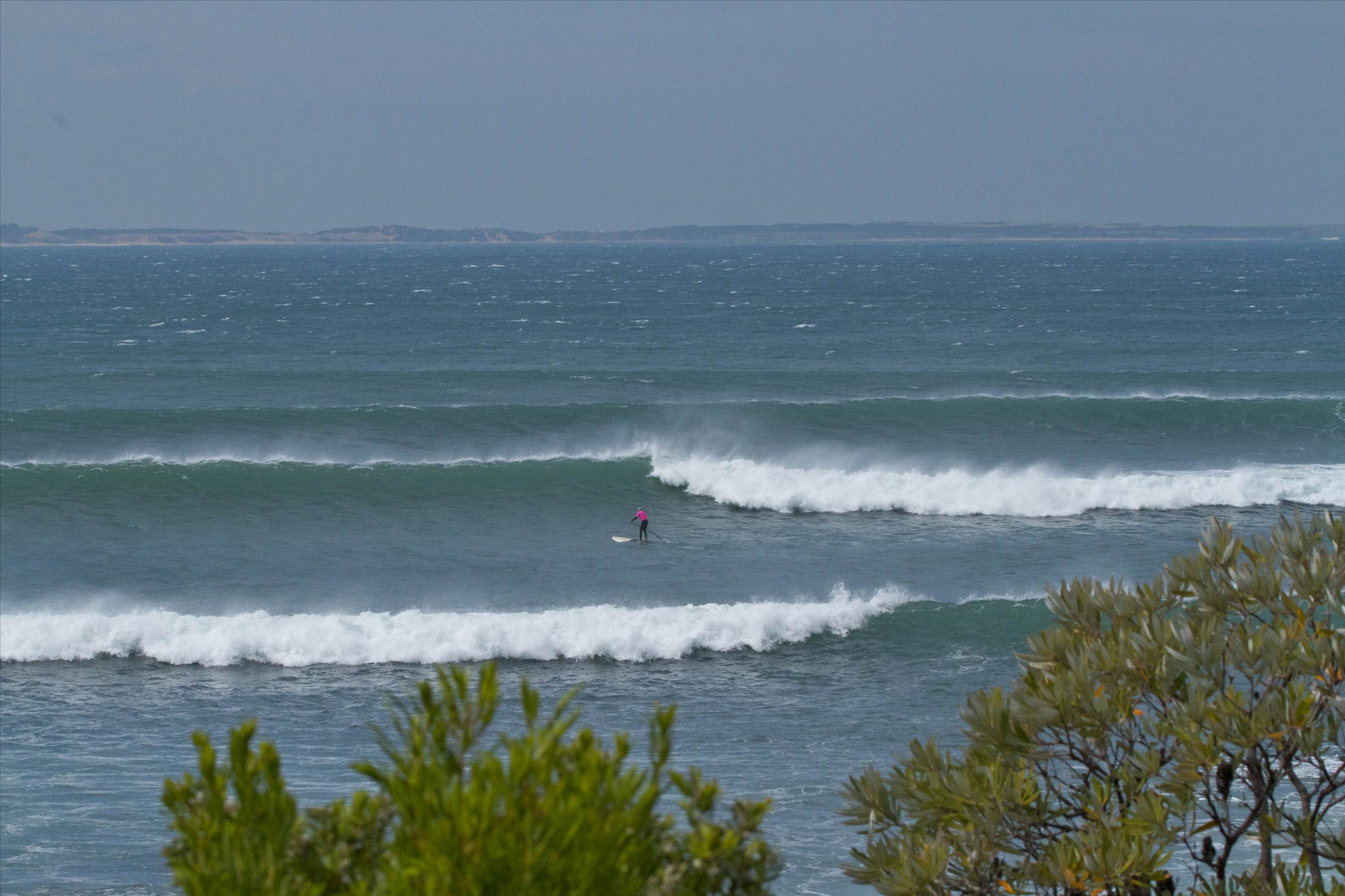 Point Leo comp