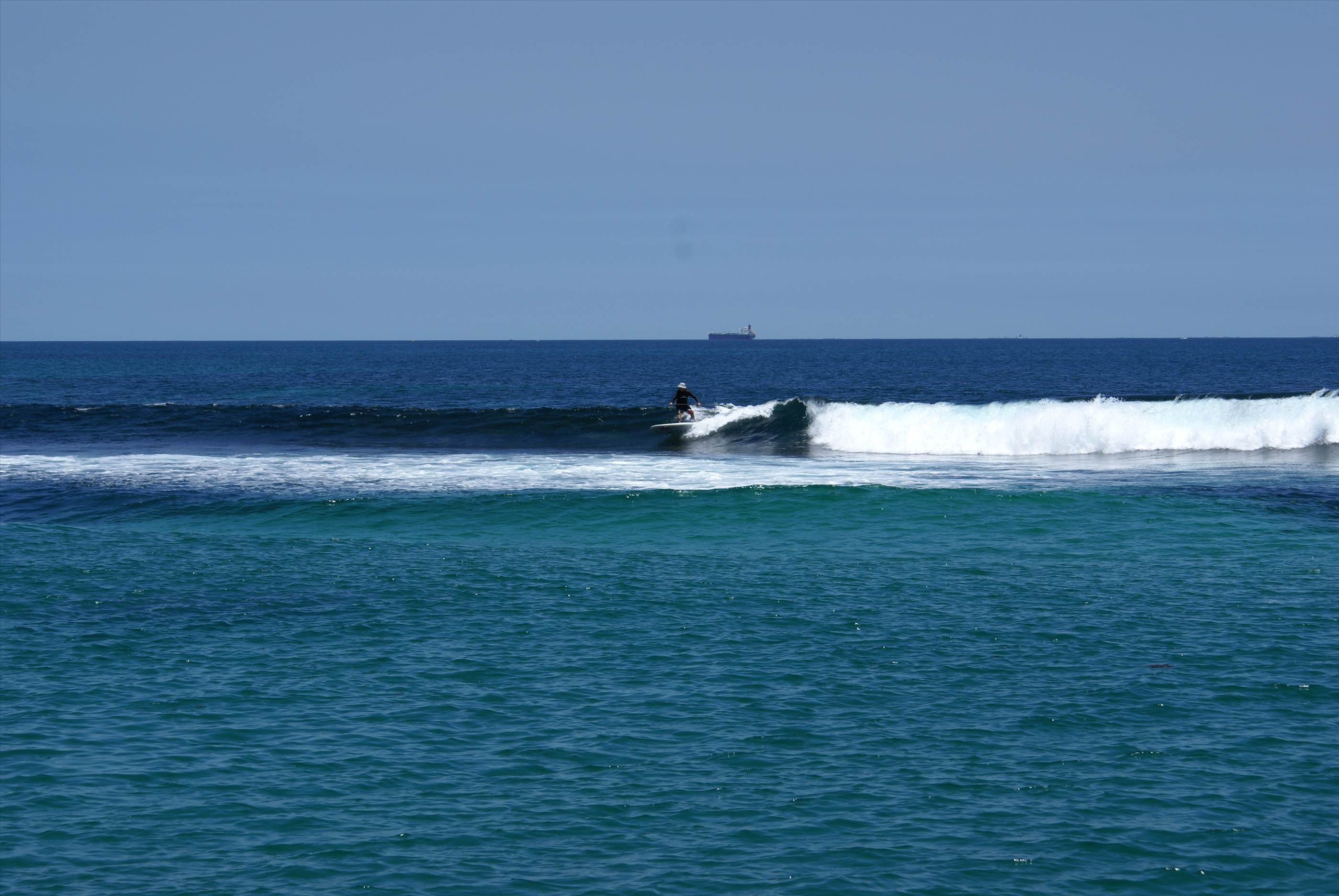 seal island friday