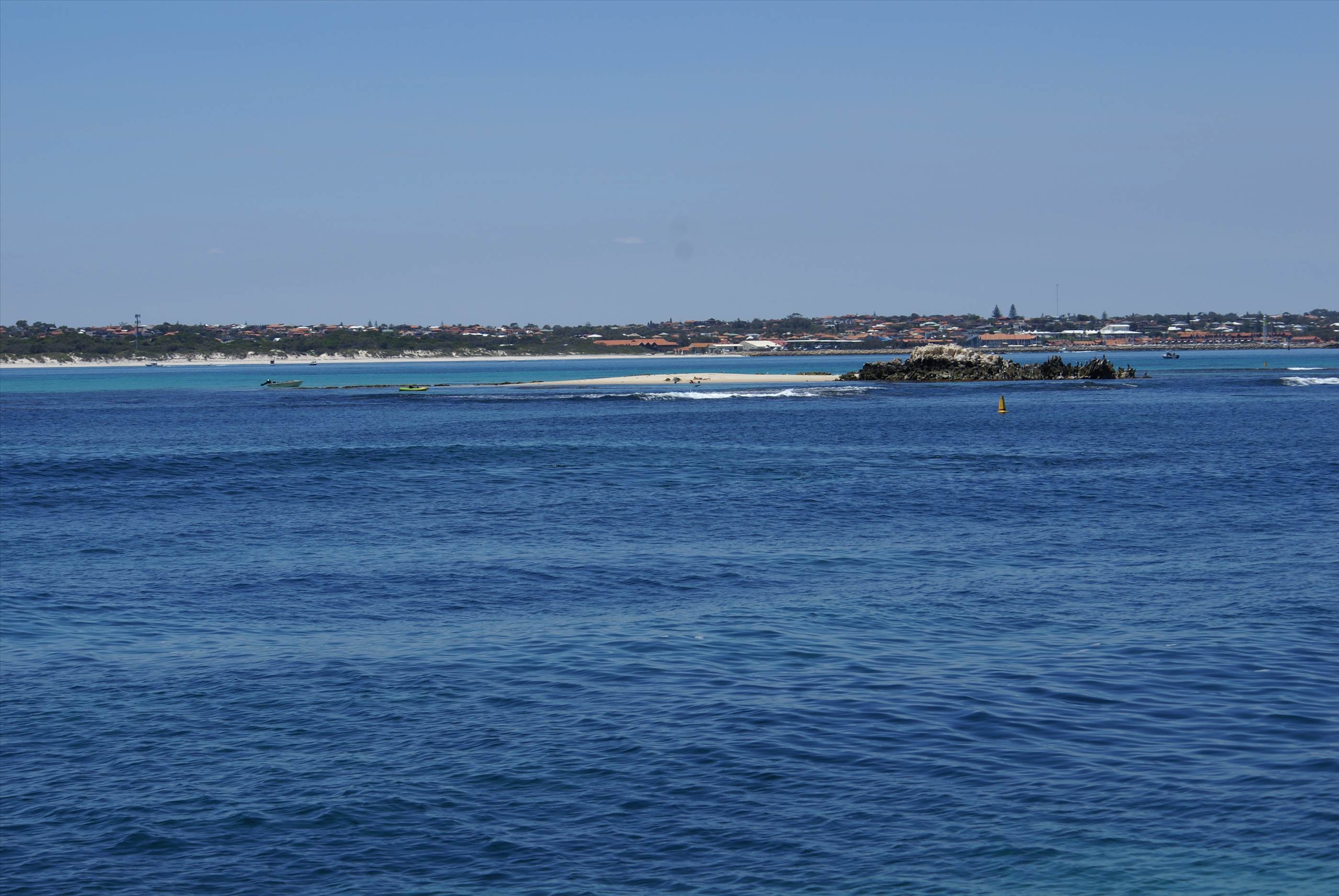 seal island friday