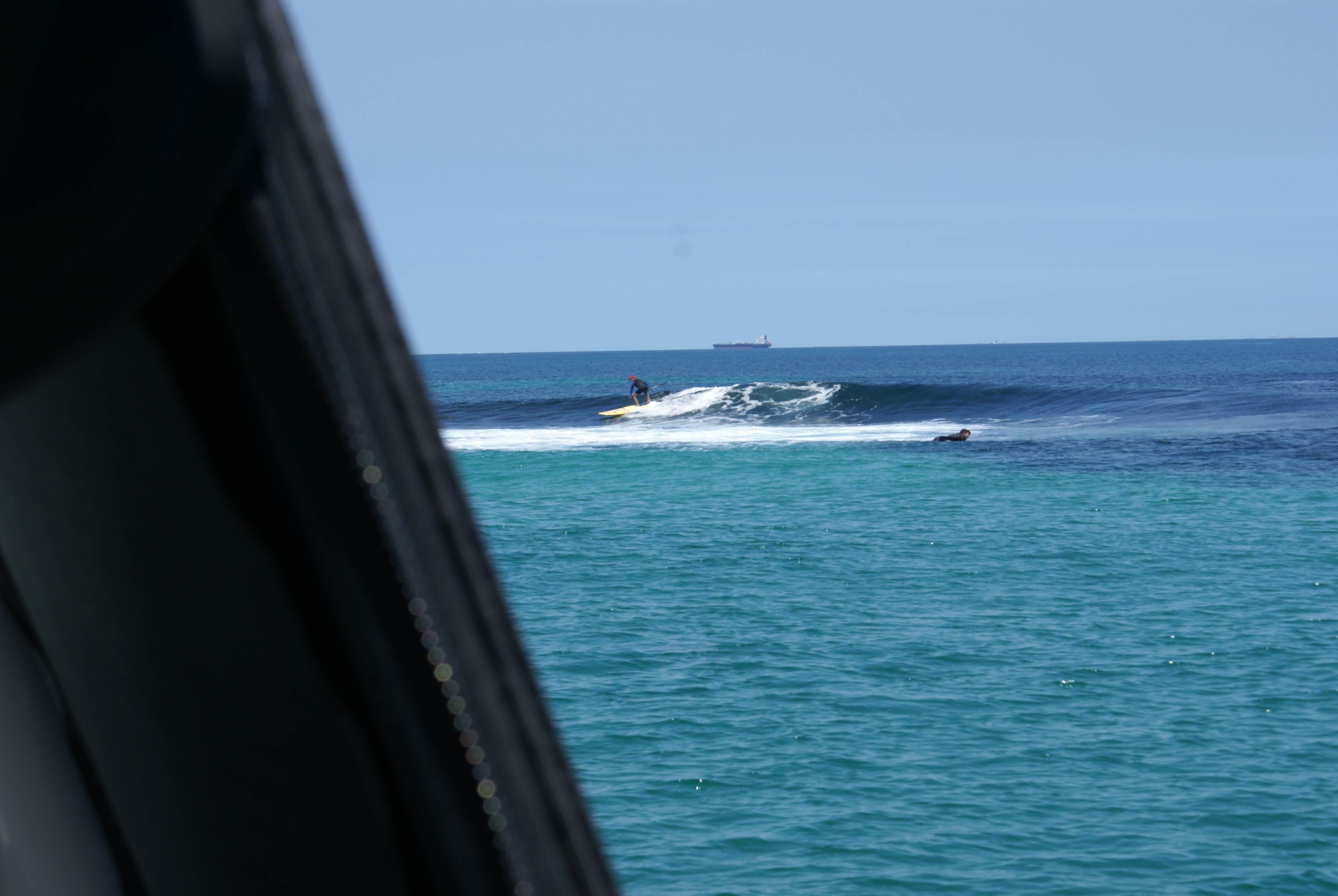 seal island friday
