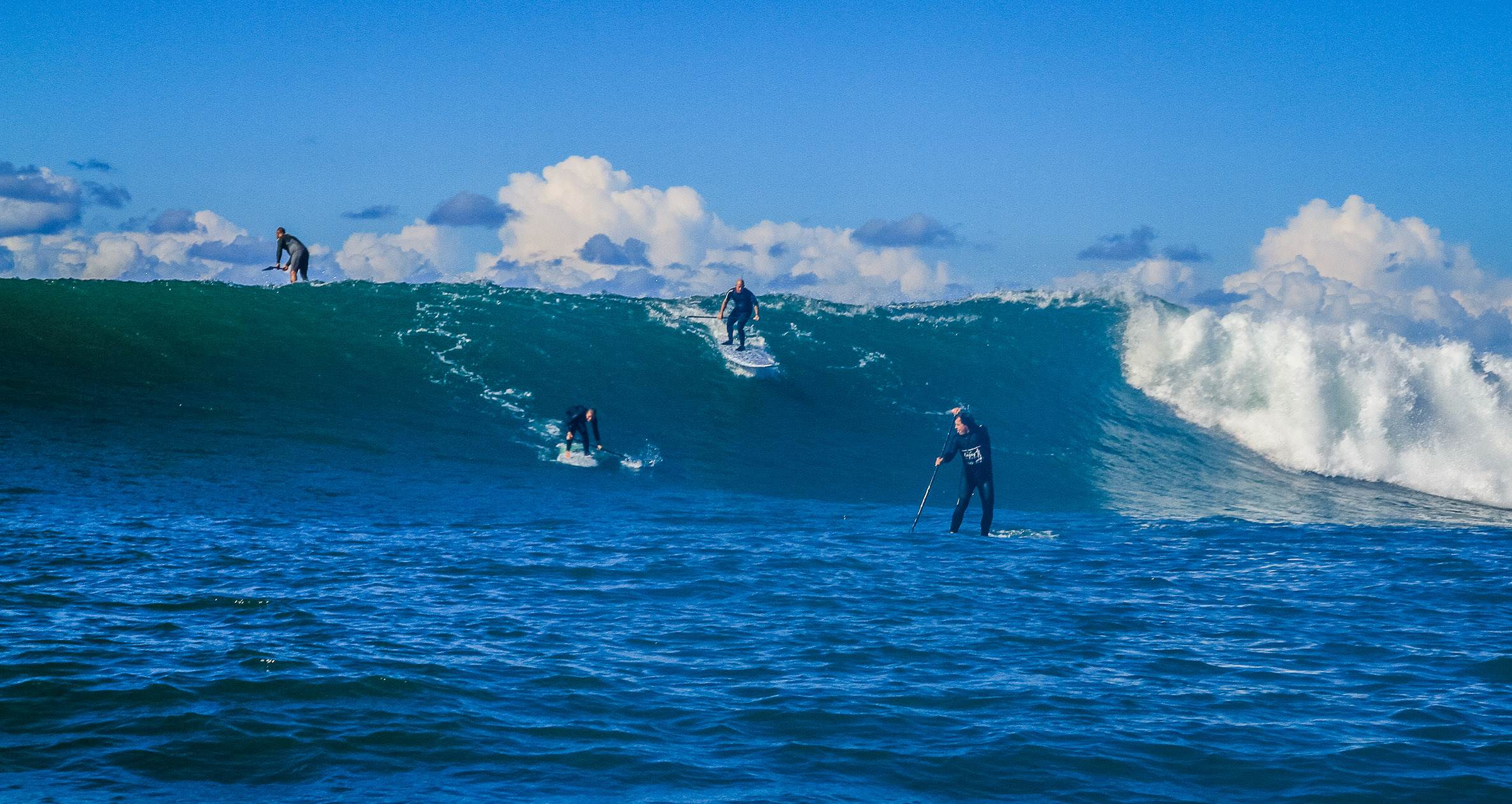 Scotts comp-266