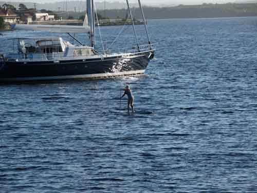 Strahan Harbour Tassi