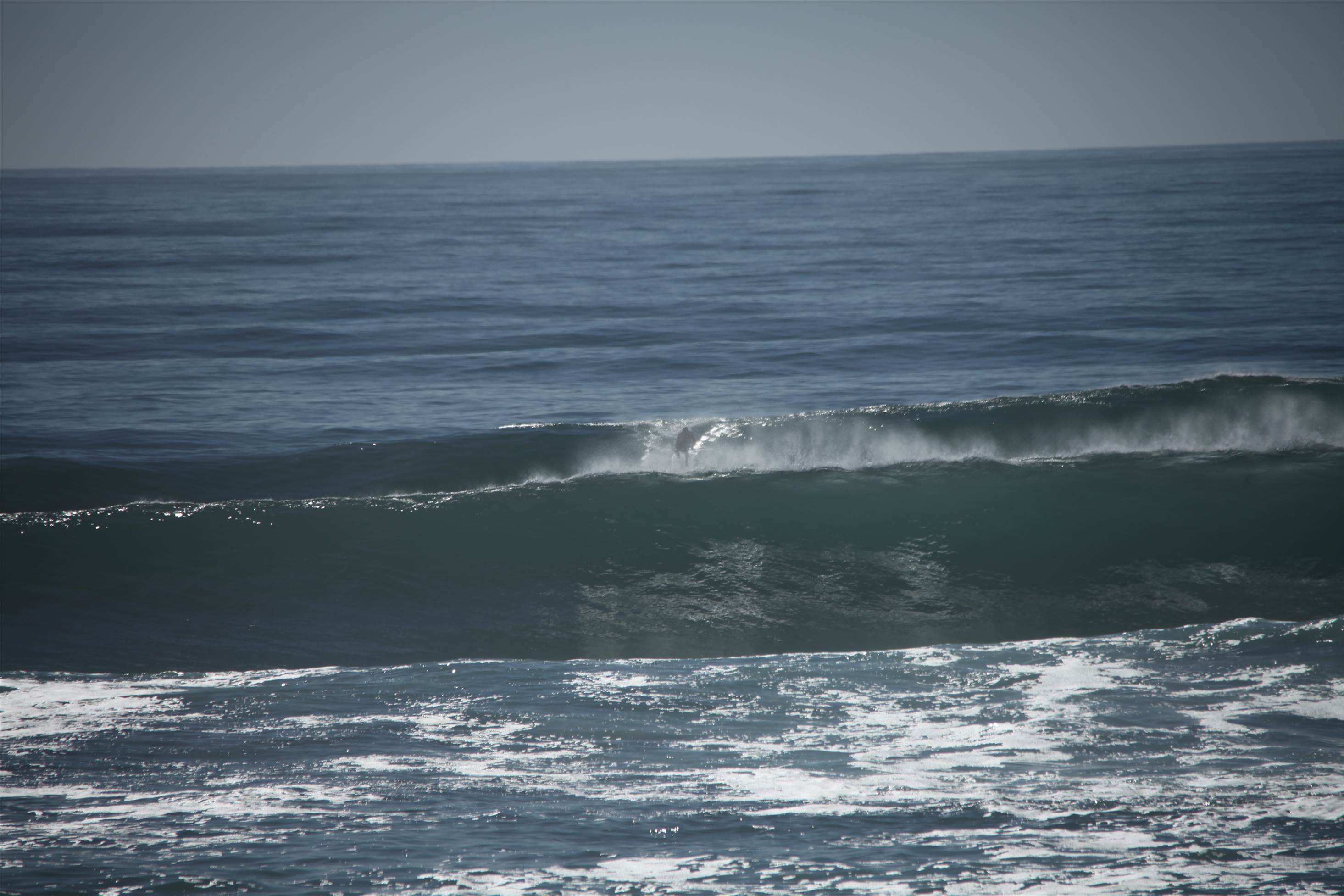 photos