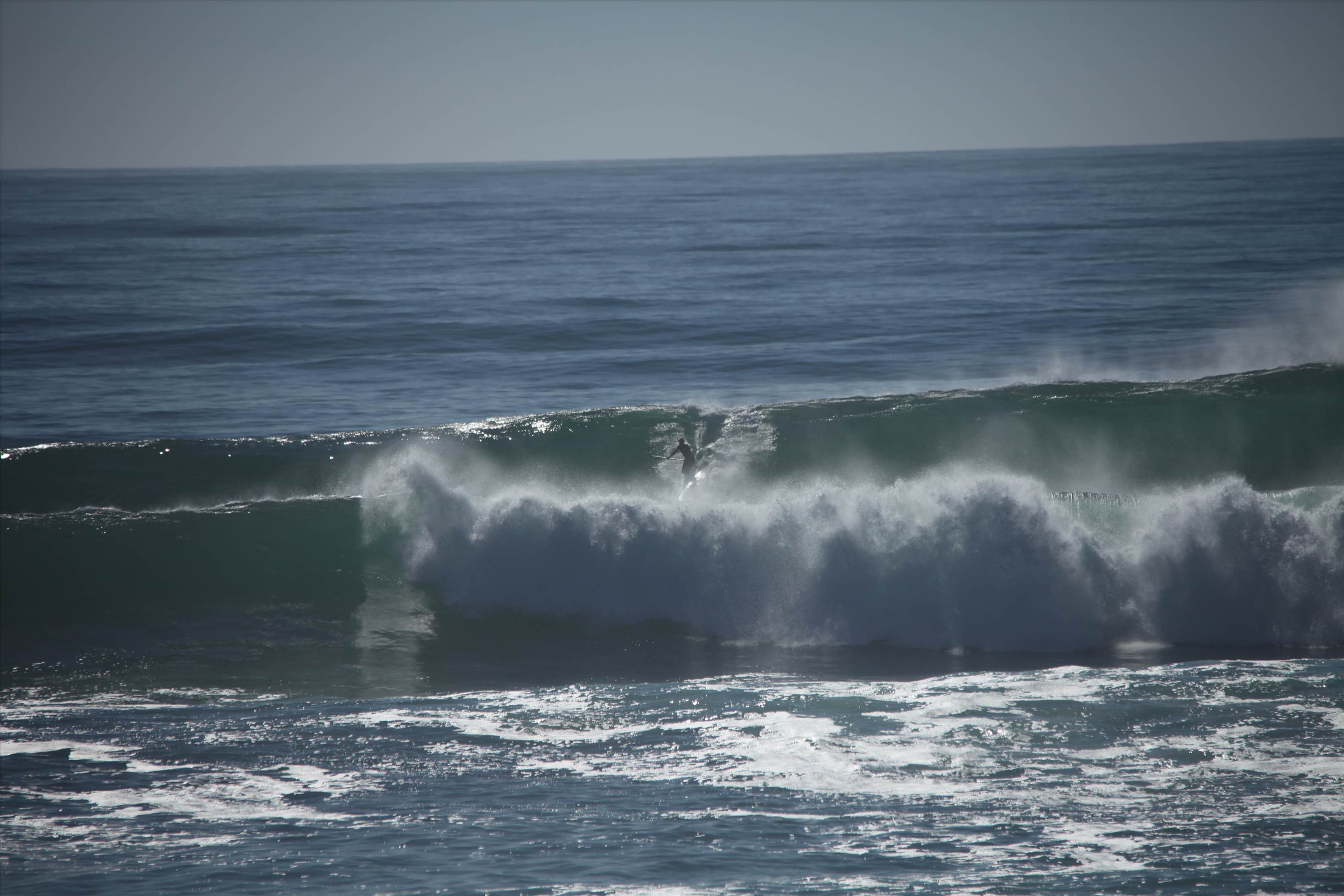 photos