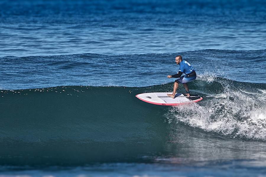 NSW Sup Titles 2014