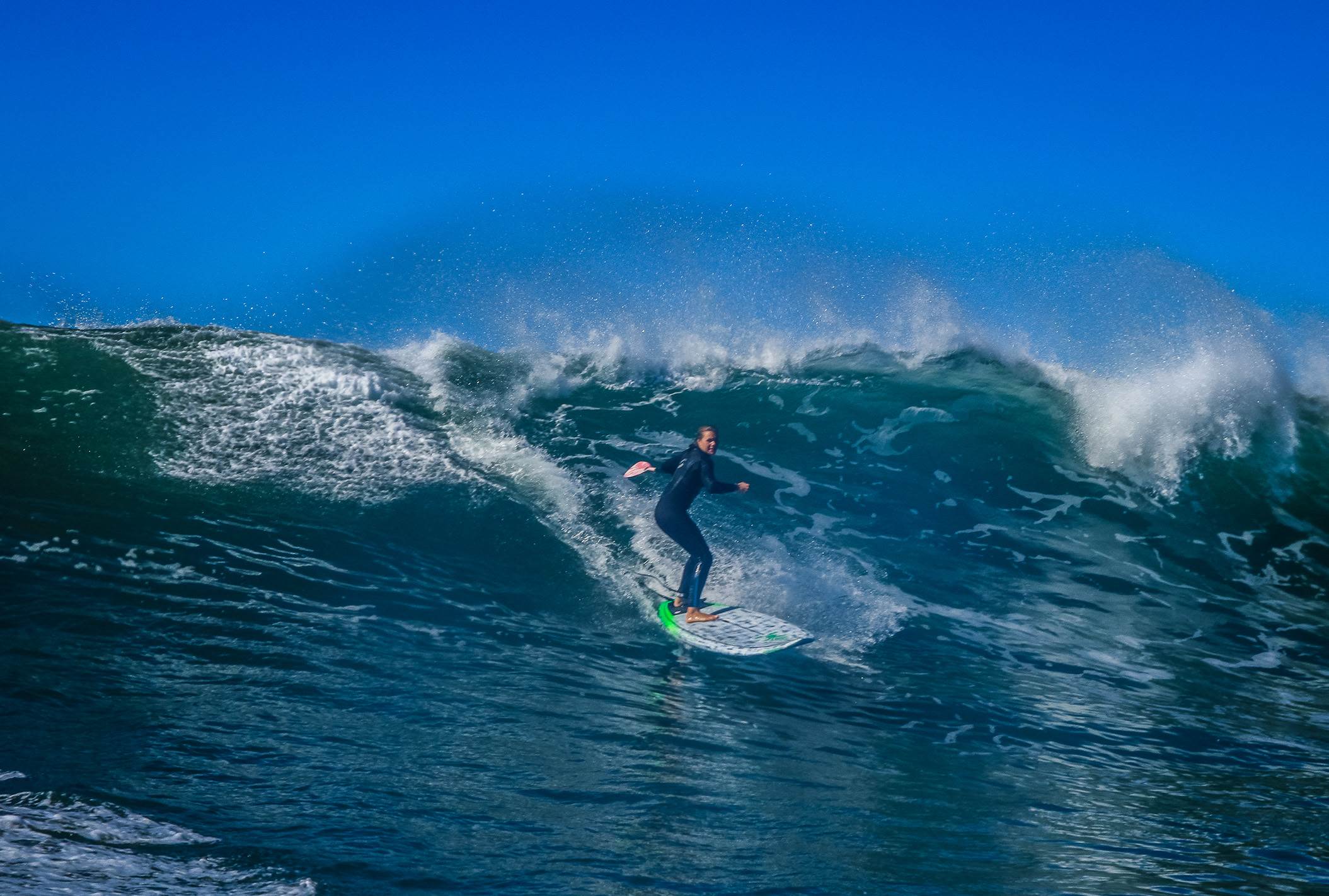 Scotts comp-288