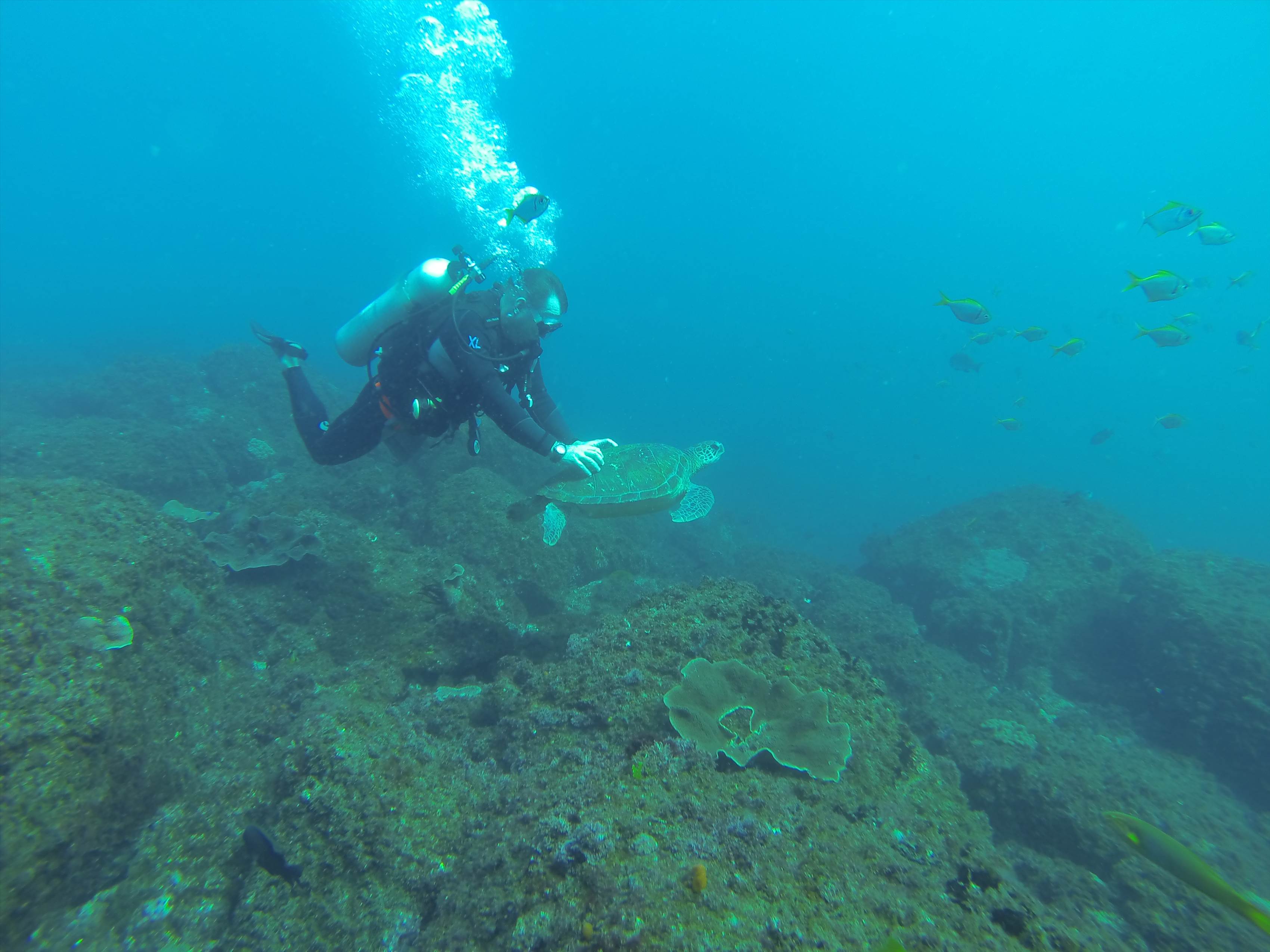 GOPR0245