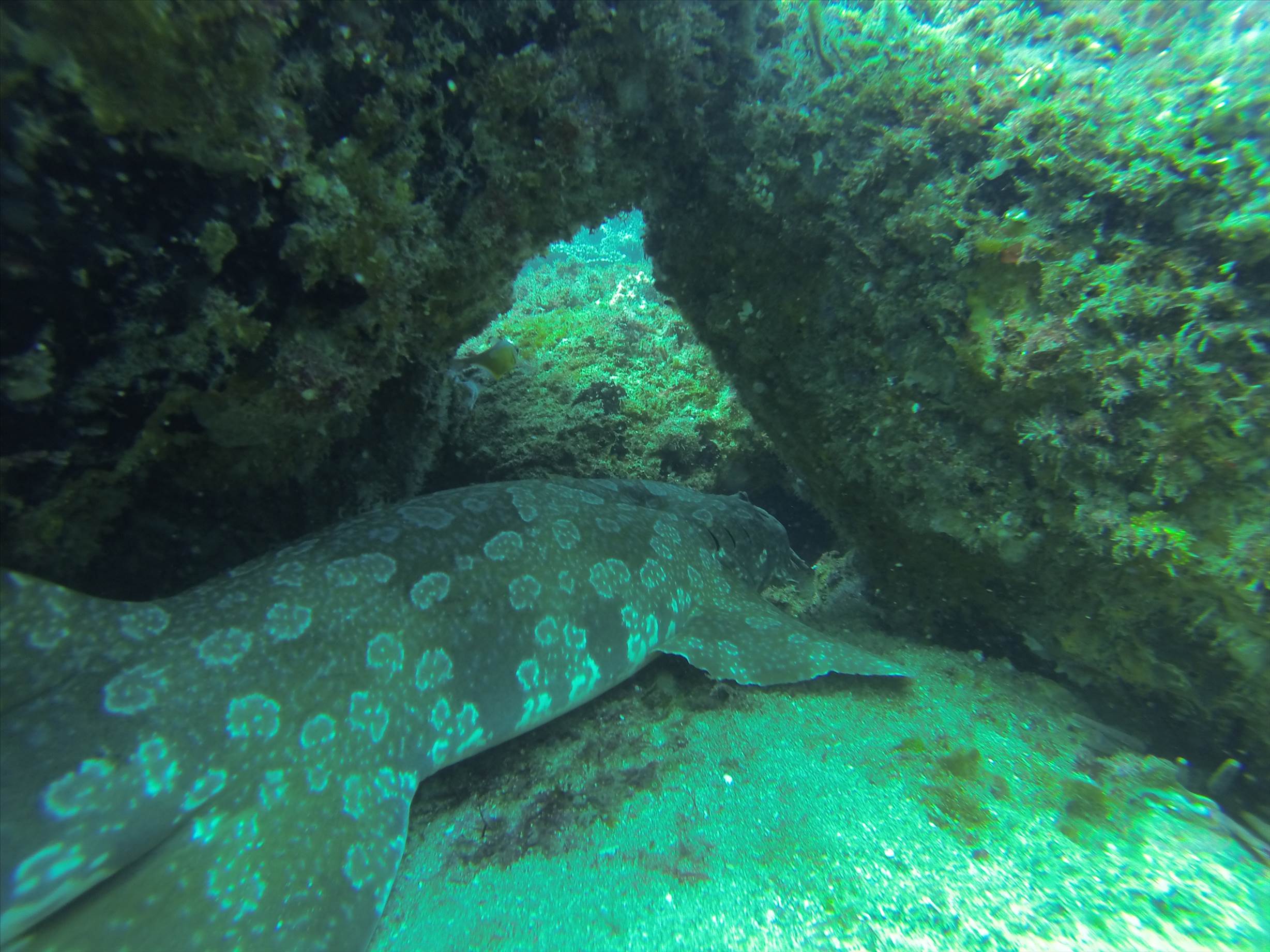 GOPR0228