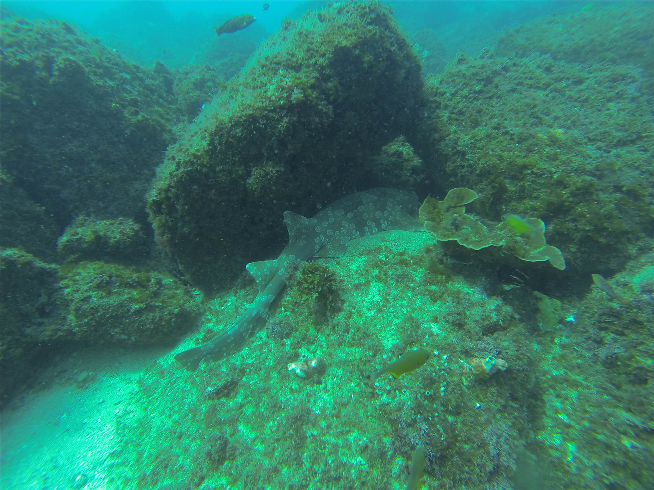 GOPR0226
