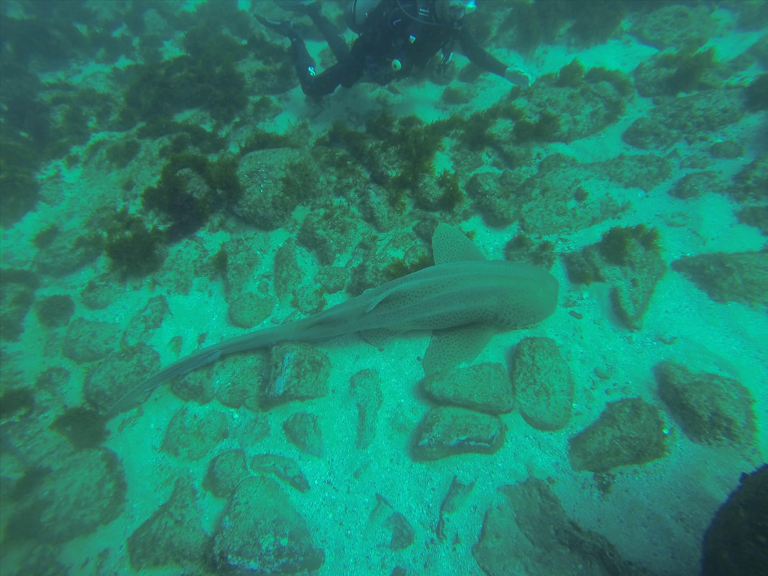 GOPR0213