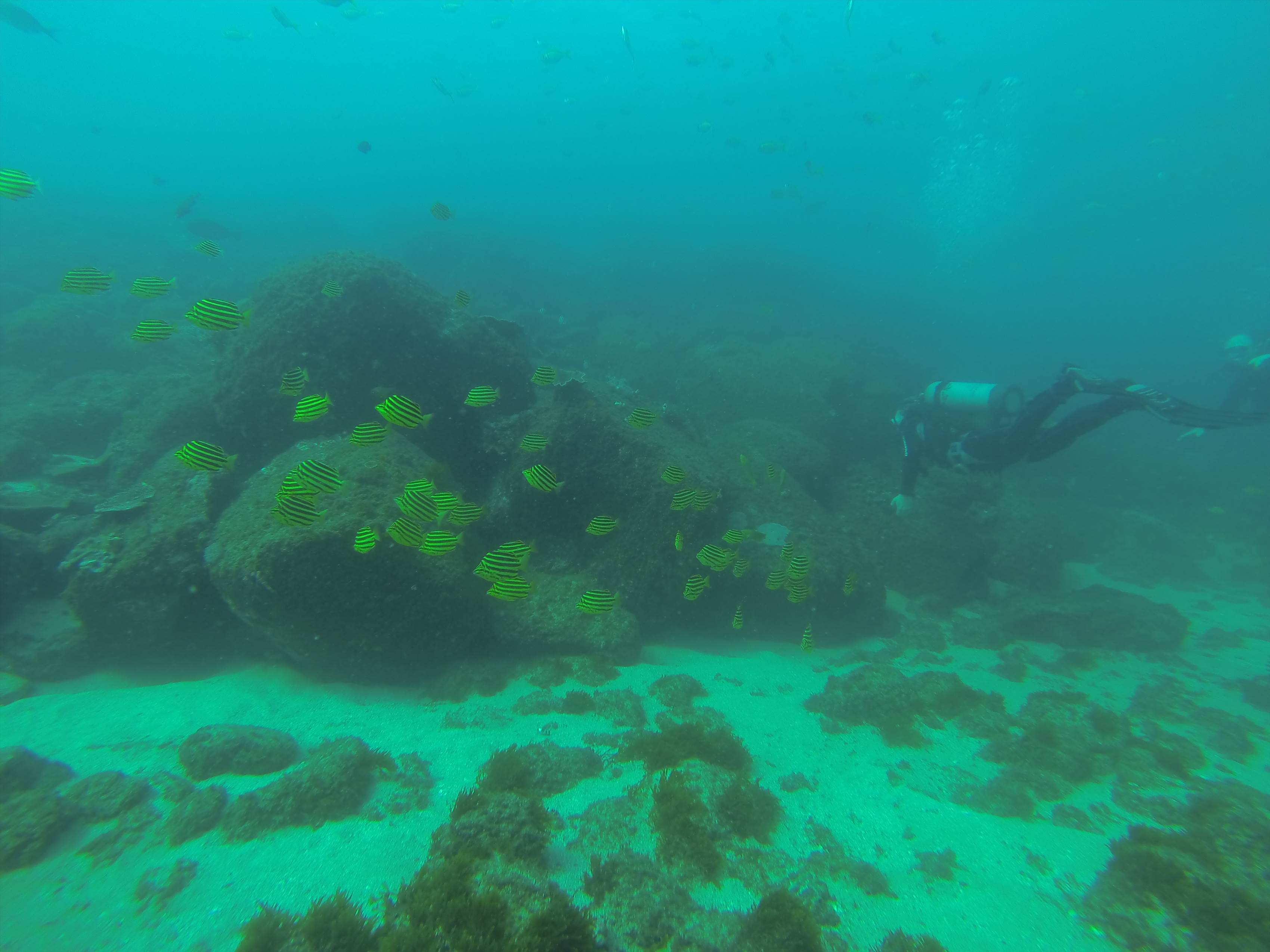 GOPR0165