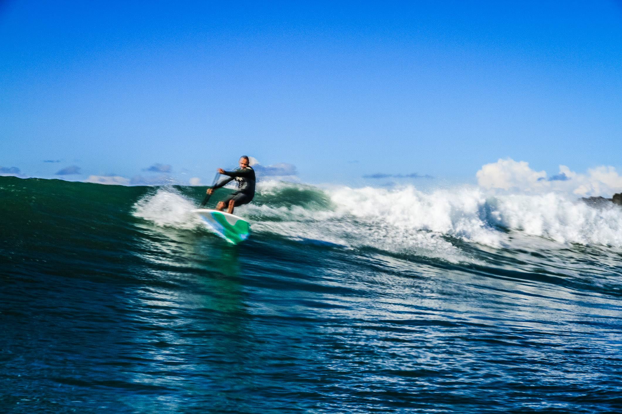 Scotts comp-251
