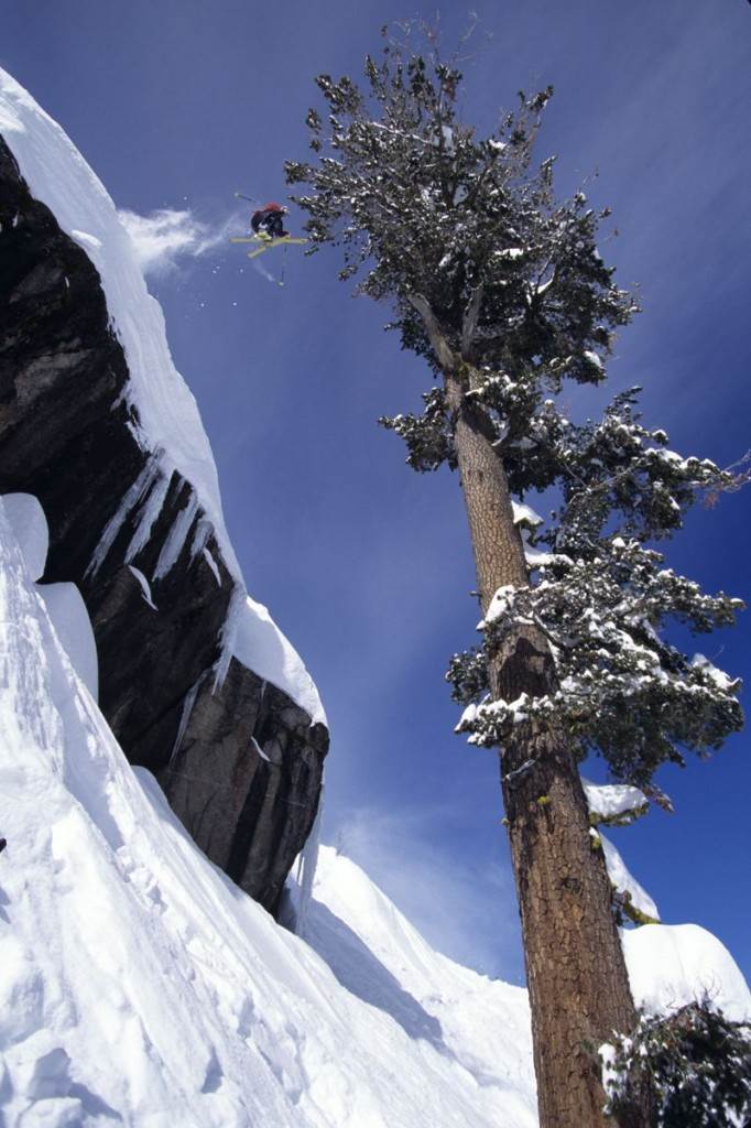 Chuck-P-Conice-2-tree-Master-682x1024