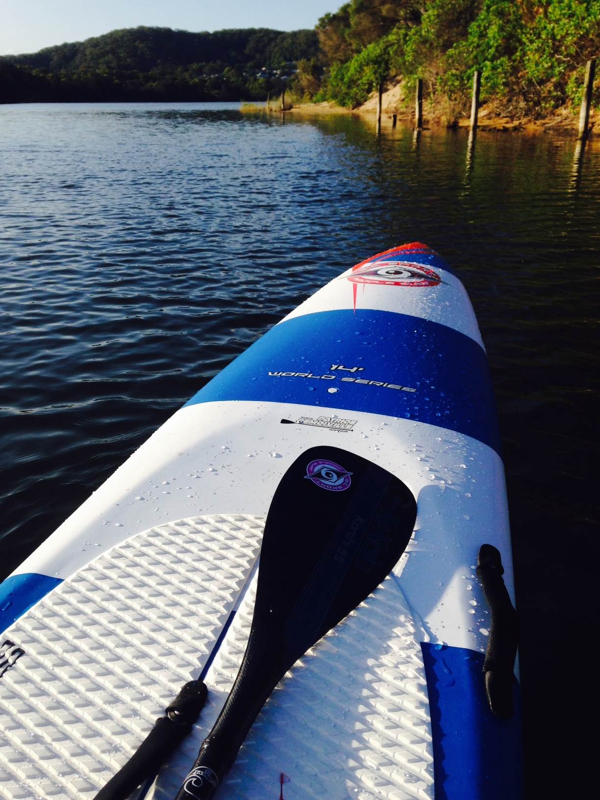 New BIC 14' WSD