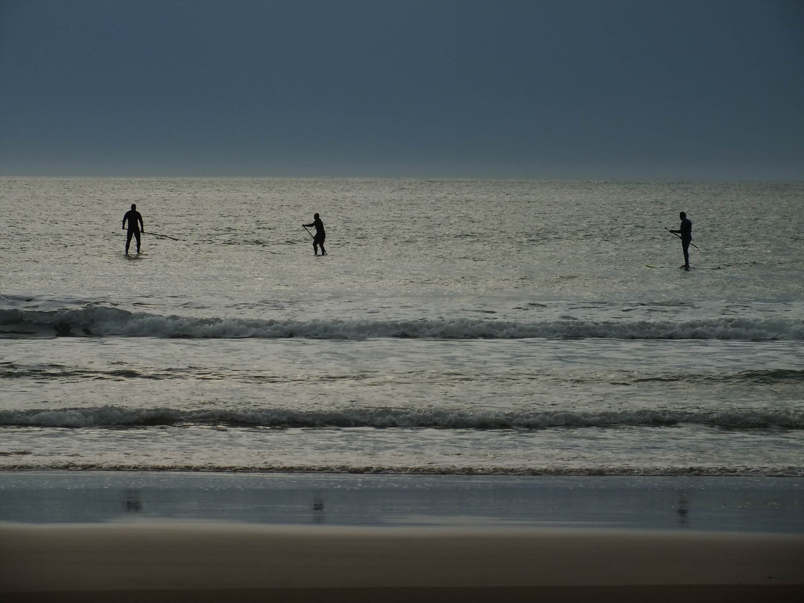NY surf