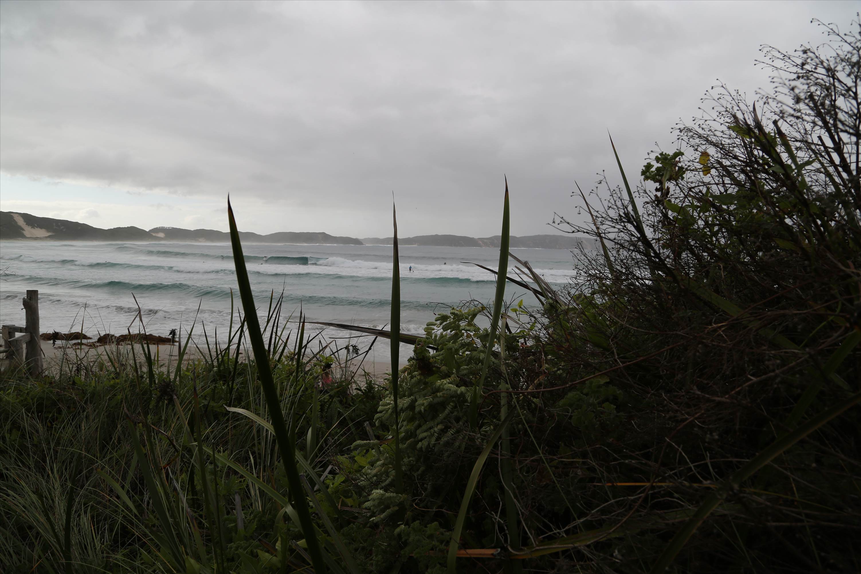 Denmark WA State round