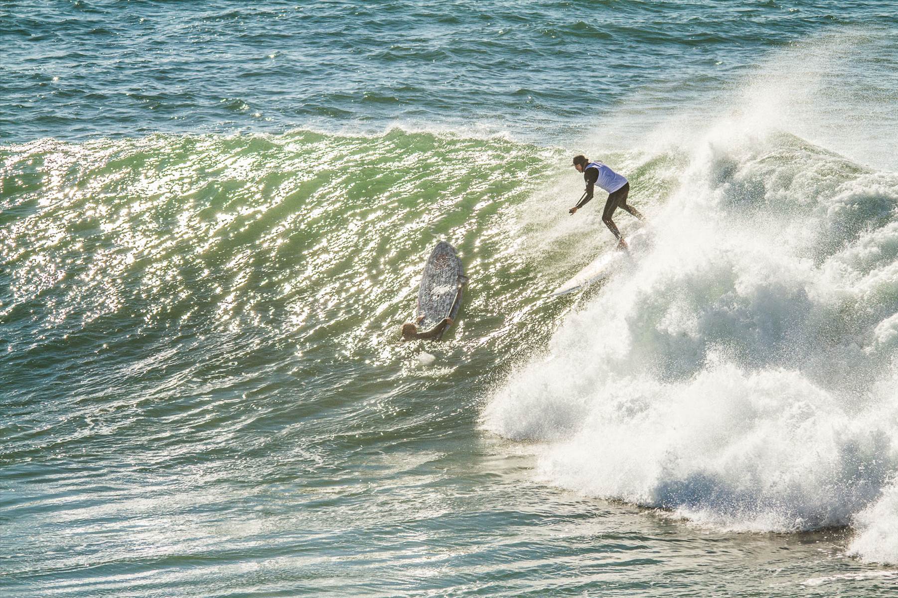 Scotts comp-184
