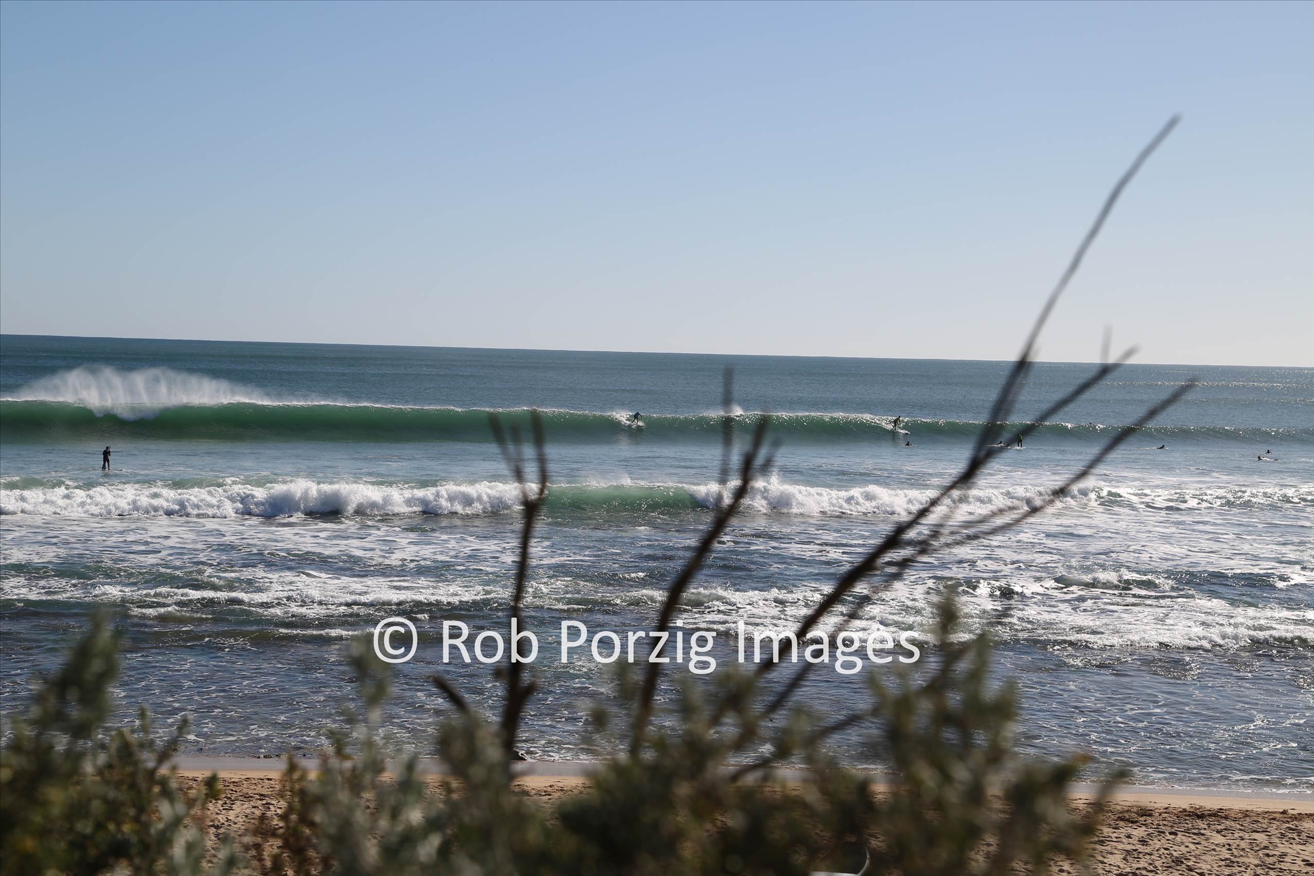 1X1A6649
