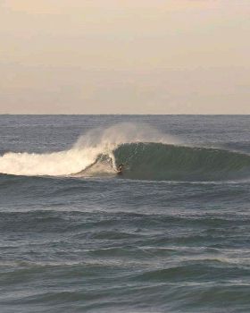 TC longy Bomby1