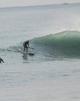 Stand Up Paddle