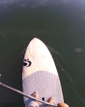 Stand Up Paddle