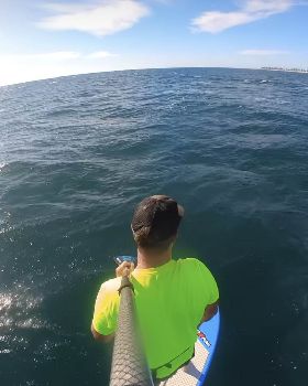 Stand Up Paddle
