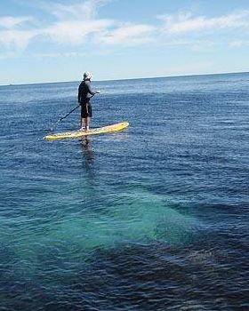 Stand Up Paddle