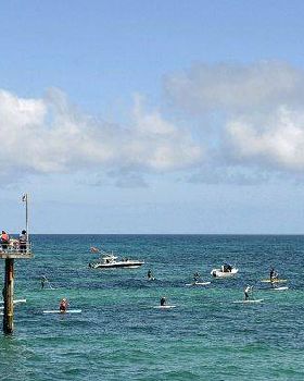 Stand Up Paddle