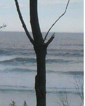catho bay big set