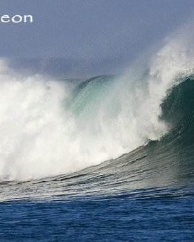 Aaron Hull Ripper