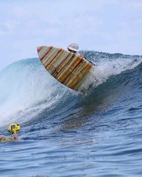 Stand Up Paddle