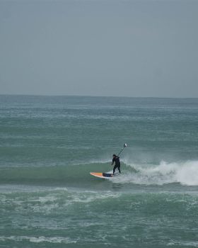 DSC07217
