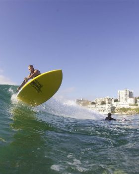 Stand Up Paddle