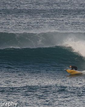 Bombie (1 of 1)-3