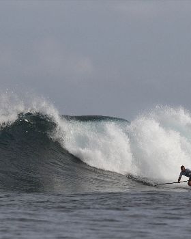 Stand Up Paddle