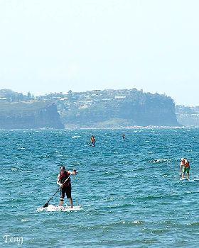 Stand Up Paddle