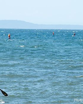Stand Up Paddle