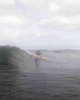 surfing
