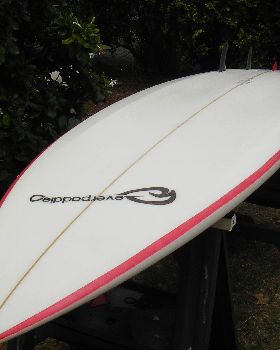 Stand Up Paddle
