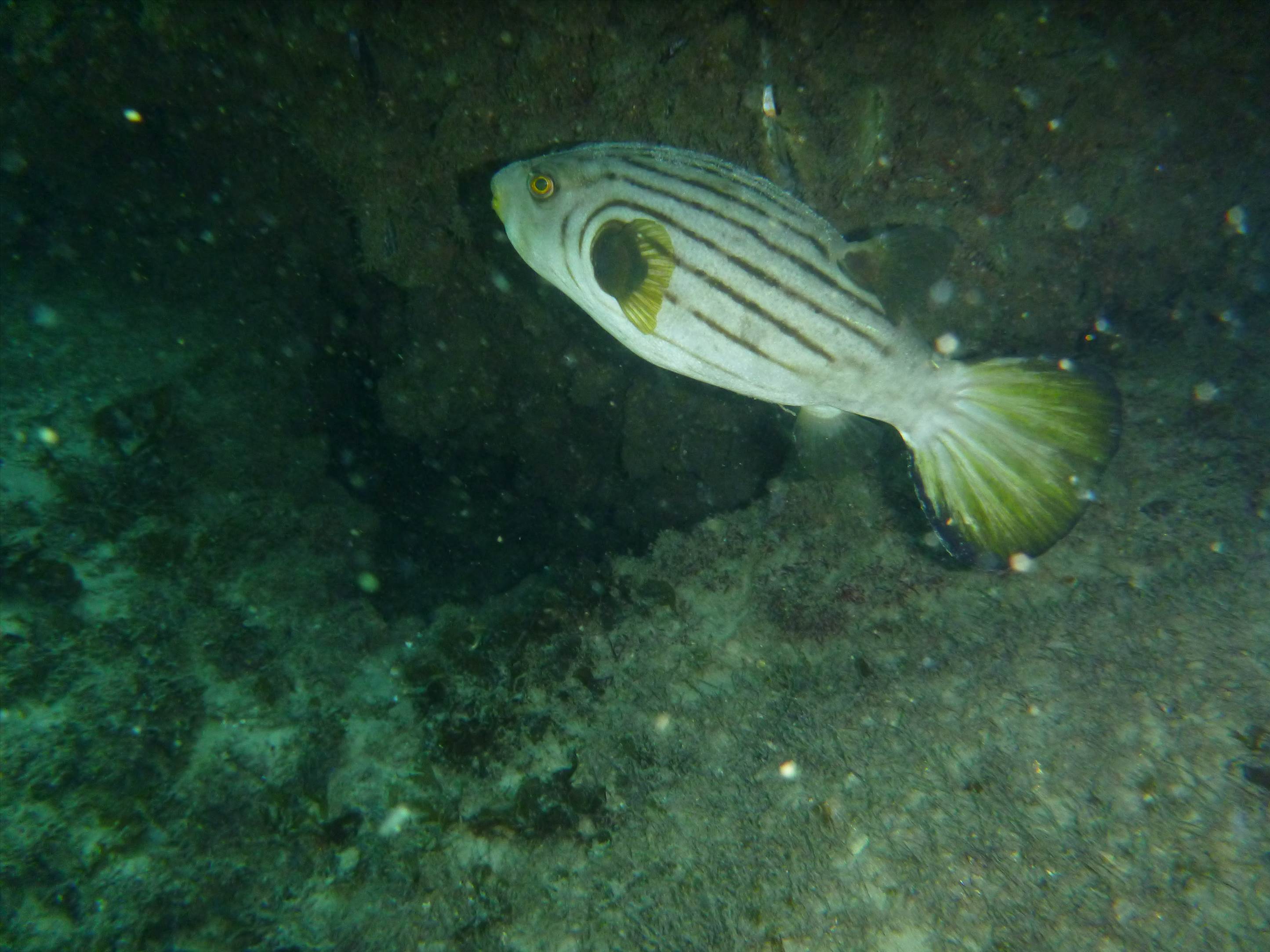 P1000583