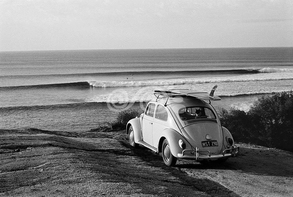 vw surf
