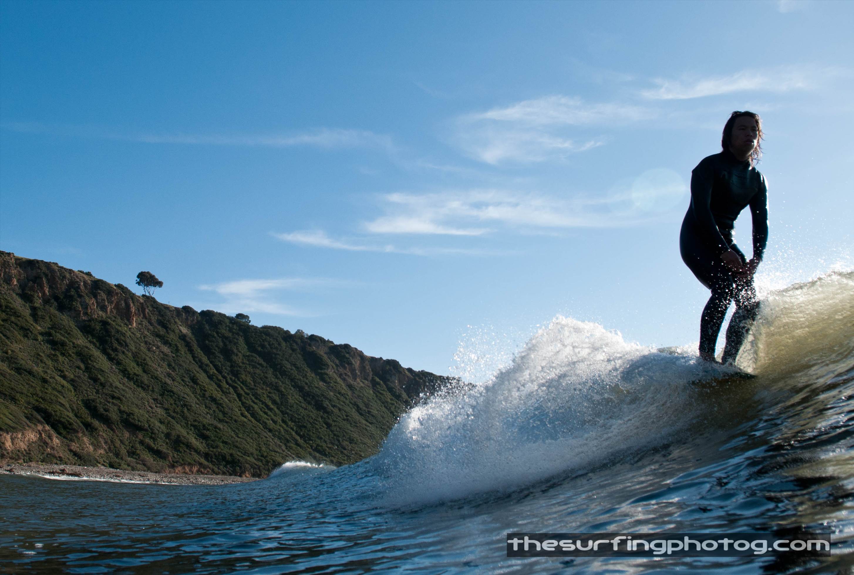 longboard4