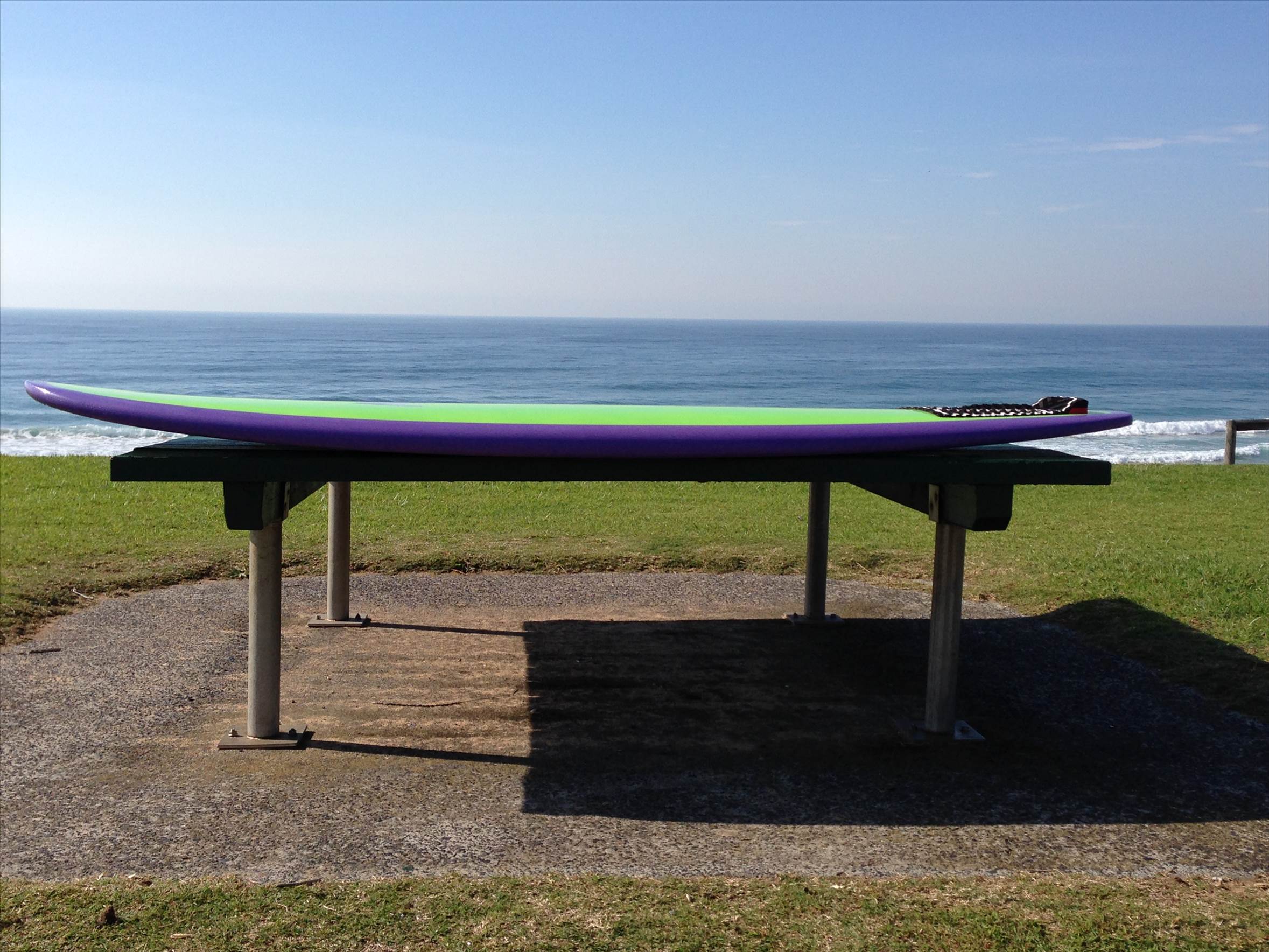 Purple & fins 010